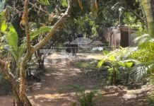 MISTÉRIO: Ex-policial é encontrado morto em Campinas