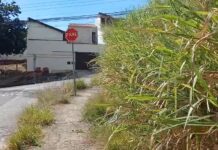 Moradores denunciam terreno com mato alto e risco de animais na Vila Formosa