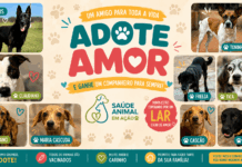 Saúde Animal em Ação estará no Eldorado neste sábado, 23 de maio