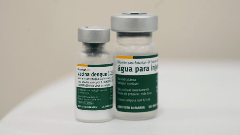 Vacina contra a dengue está disponível para dois grupos a partir desta segunda