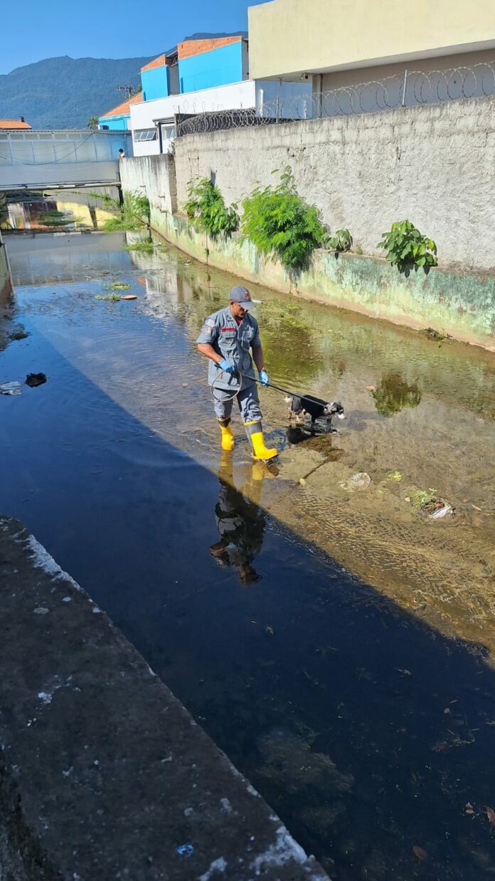 Bombeiros resgatam cachorro preso em canal no centro de São Sebastião