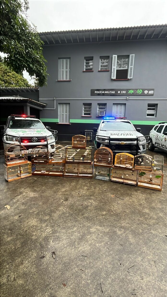 Homem é multado em mais de R$8 mil por manter aves silvestres em cativeiro em São José
