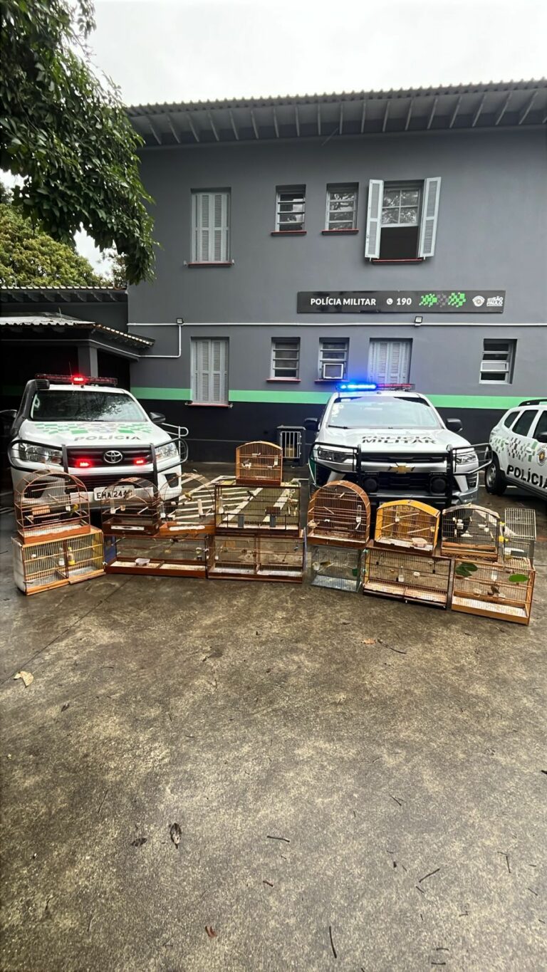 Homem é multado em mais de R$8 mil por manter aves silvestres em cativeiro em São José