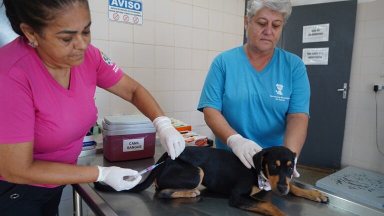 Secretaria de Saúde de Araçatuba retoma agendamentos para vacinação antirrábica de cães e gatos