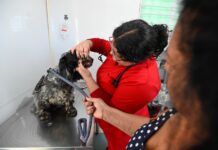 Moradores da Vila Castelo Branco têm até esta 5ª para levar seus pets para atendimento gratuito no Consultório Veterinário Móvel