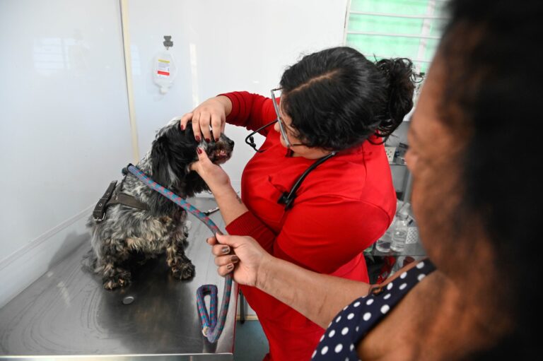 Moradores da Vila Castelo Branco têm até esta 5ª para levar seus pets para atendimento gratuito no Consultório Veterinário Móvel