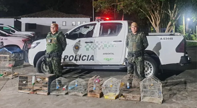 Polícia Militar Ambiental resgata aves mantidas em cativeiro em São José dos Campos