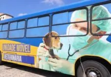 Moradores de Jacareí podem retirar senhas para castração de cães e gatos