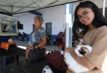 Moradores de Jacareí podem retirar senhas para castração de cães e gatos