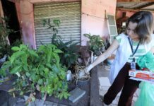 Alerta dengue: Campinas identifica 27 bairros com maior risco nesta semana