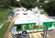 Abertas as inscrições para mutirão de castração e microchipagem de cães e gatos no Conjunto Habitacional Vida Nova