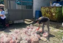 Procon-JP apreende mais de 750 kg de carnes impróprias em supermercado de João Pessoa