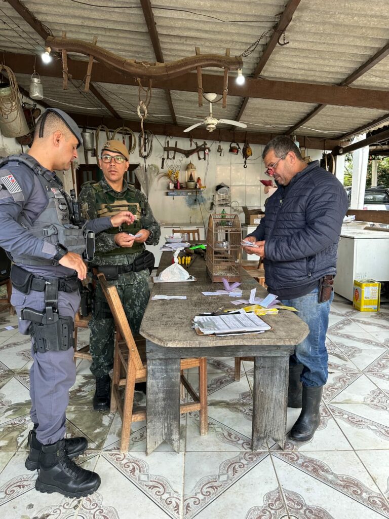 Operação da Polícia Militar fecha abatedouro clandestino em Jacareí