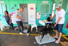 Consultório Veterinário Móvel inicia atendimento na Vila Esperança nesta segunda, 25 de maio