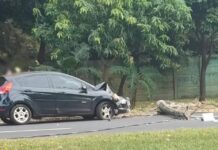 Carro derruba poste em avenida de Ribeirão Preto