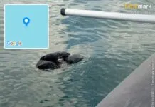 Marinha localiza colete que pode ser de homem desaparecido após passeio de moto aquática.
