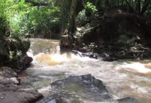Programação da Semana do Meio Ambiente começa domingo em Araçatuba