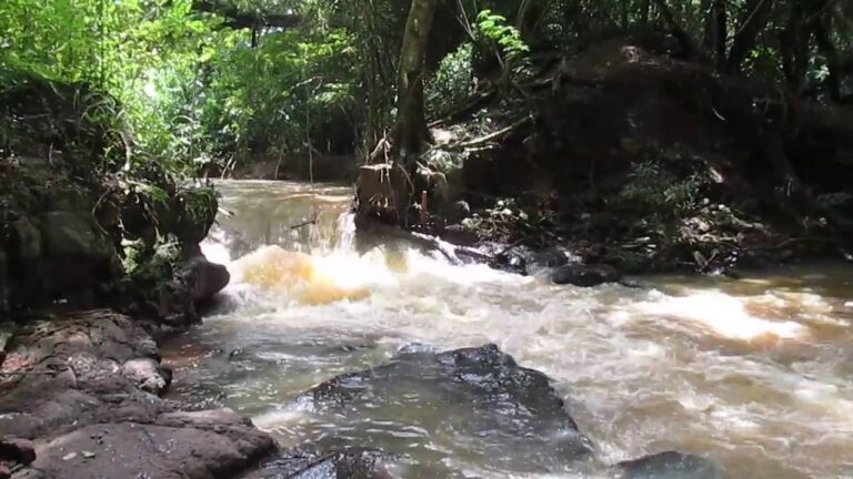 Programação da Semana do Meio Ambiente começa domingo em Araçatuba