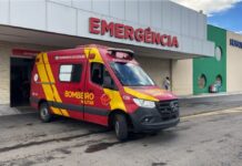 Onça-parda ataca criança durante passeio em santuário de Goiás