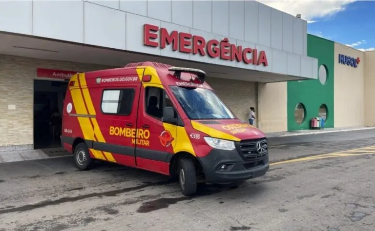 Onça-parda ataca criança durante passeio em santuário de Goiás