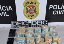 Polícia Civil prende homem e apreende armas, drogas e R$ 167 mil em Penápolis