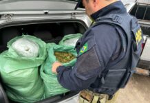 Casal é preso com 25 kg de “supermaconha” durante abordagem da PRF na BR-230, na Paraíba