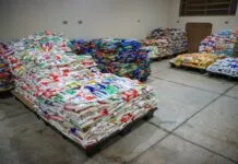 Ribeirão Rodeo Music arrecada cerca de 14 toneladas de alimentos para o Fundo Social de Solidariedade
