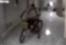 Homem invade prédio e furta bicicleta em Santos; VÍDEO