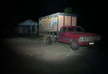 Idoso é atropelado pelo próprio caminhão em fazenda de Birigui