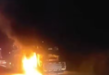 Caminhão-cegonha é atingido por incêndio e destrói 13 veículos que eram transportados