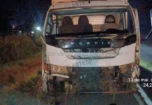 Cavalos são atropelados por carretas na rodovia Padre Manoel da Nóbrega, em Peruíbe