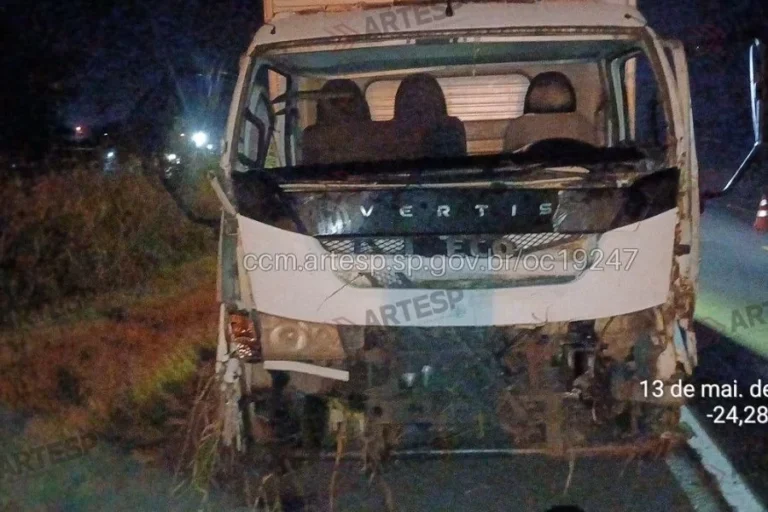 Cavalos são atropelados por carretas na rodovia Padre Manoel da Nóbrega, em Peruíbe