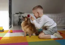 Paraíba institui programa de terapia assistida por cães para crianças com TEA