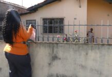 Campinas divulga 19º alerta de dengue do ano com 26 bairros em alto risco nesta semana