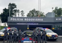 Morador de Brasília é preso com mais de 270 kg de drogas na SP-270