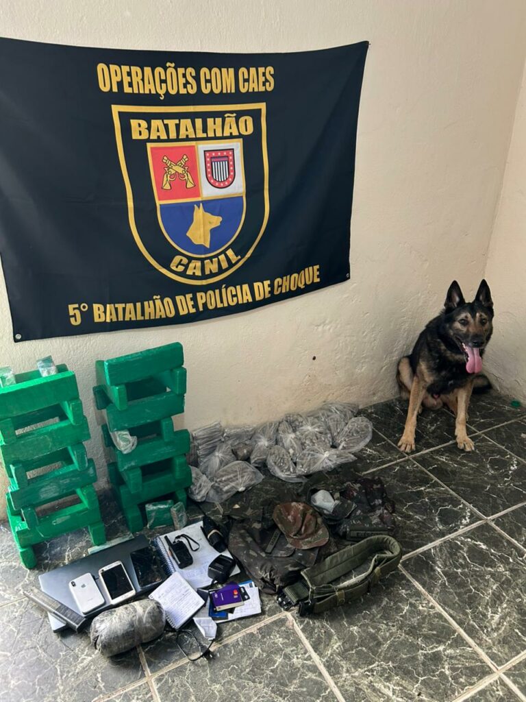 Cerca de 24 kgs de drogas são encontradas em casa durante Operação Impacto em Cubatão