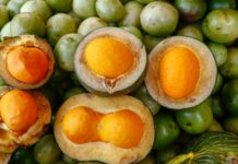 Frutas do cerrado: 7 espécies brasileiras que pouca gente conhece