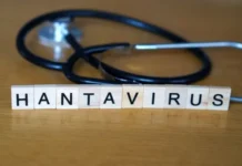 Hantavírus: o que é, como se transmite e como evitar a infecção