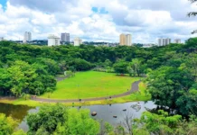 Parque Curupira fecha temporariamente para resgate de ave em Ribeirão Preto