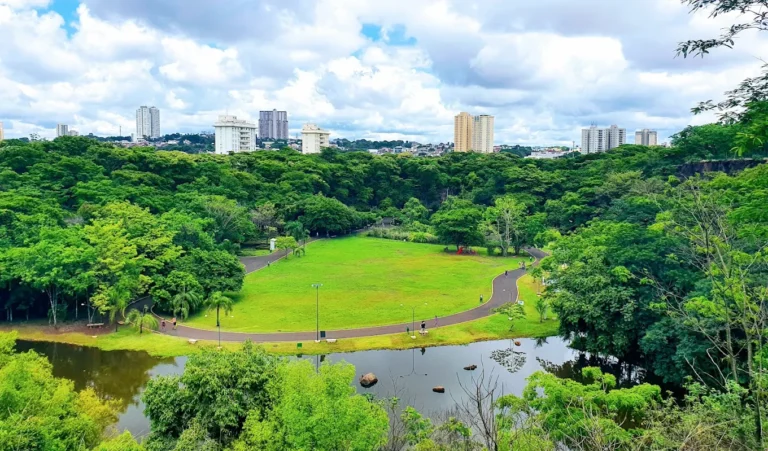 Parque Curupira fecha temporariamente para resgate de ave em Ribeirão Preto