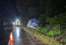 Ônibus perde o controle, sai da pista e para em meio a área de mata em rodovia de Santos