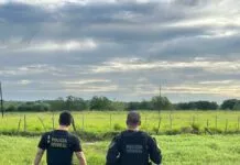 PF prende suspeito em flagrante durante operação contra abuso sexual infantojuvenil na Paraíba