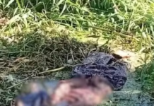 Ossada é encontrada dentro de canal na cidade de Mongaguá