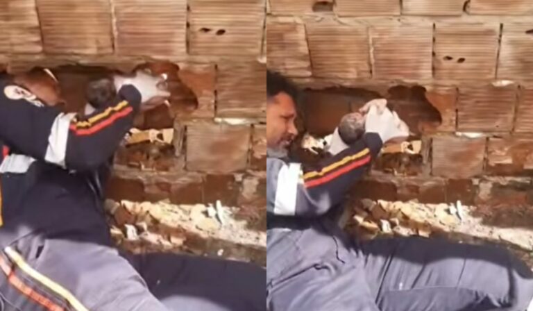Morre recém-nascido encontrado entre paredes na Paraíba