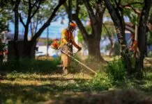 Prefeitura inicia roçadas em áreas públicas das regiões Leste e Oeste; Saiba os bairros beneficiados