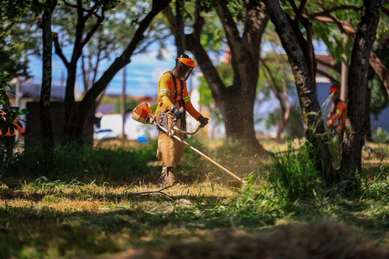 Prefeitura inicia roçadas em áreas públicas das regiões Leste e Oeste; Saiba os bairros beneficiados