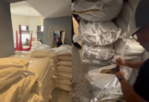 Cerca de 181 kg de cocaína é apreendida em sacas de café em Santos; dois homens são presos