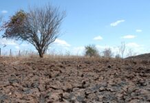Governo Federal reconhece emergência por estiagem em duas cidades da Paraíba