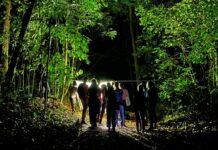 Jardim Botânico de João Pessoa terá edição especial de trilha noturna neste sábado (23)