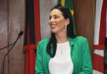 Rebeca Sodré toma posse na Câmara de João Pessoa nesta quinta-feira (11)